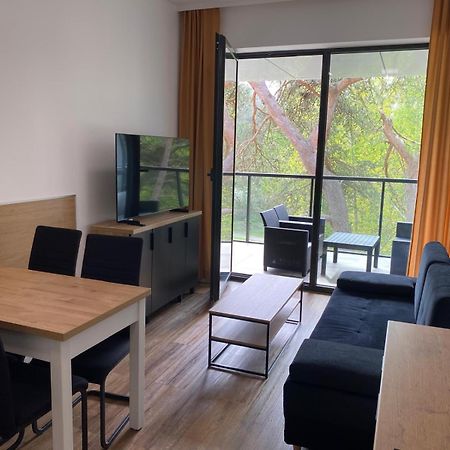 Apartament Dorka Rogowo  Exterior photo